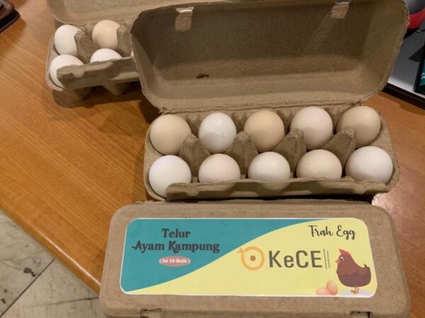 Kandang Ayam Petelur Otomatis 252 (10)